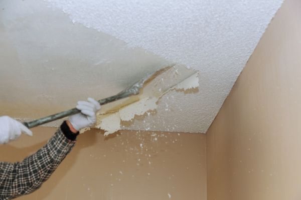 Ceiling Removal